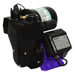 Dayuan 1WZB-20-0.55ZC Auto Pressure Water Pump 550W | Dayuan by KHM Megatools Corp.