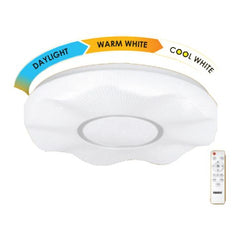 Firefly Functional Decorative LED Ceiling Lamp with remote control (Beatrice)