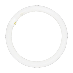 Firefly Fluorescents Tubes T9 Circular FL Tube