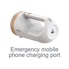 Firefly FEL567 Handheld Rechargeable Flashlight with Mobile Phone Charger