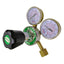 Master OR-250 Oxygen Regulator - ToolsSavvy.ph