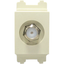 Royu RCX2 Cable TV Socket (Classic) | Royu by KHM Megatools Corp.