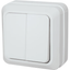 Royu REDSW202 2-Gang Switch 10A | Royu by KHM Megatools Corp.