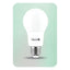 Omni 12W LED A65 Light Bulb E27 - KHM Megatools Corp.