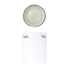 Firefly Vertical Downlight Surface Type with Glass Cover