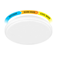 Firefly Functional Decorative LED Ceiling Lamp (Pepper)