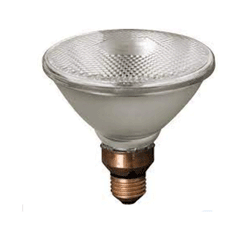 Firefly Conventional Lighting PAR38 Halogen Lamp