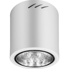 Firefly Indoor Fixtures Vertical Round Downlight - Surface Mounted