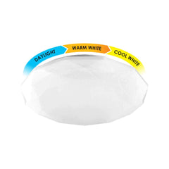 Firefly Functional Decorative LED Ceiling Lamp (Crystal)