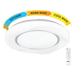 Firefly Functional Decorative LED Ceiling Lamp with remote control (Shell)