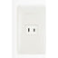 Omni P1-ER-PK Regular Outlet in Plate (Flush Type) | Omni by KHM Megatools Corp.