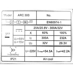 Riland ARC 300 DC Inverter Welding machine - Goldpeak Tools PH Riland