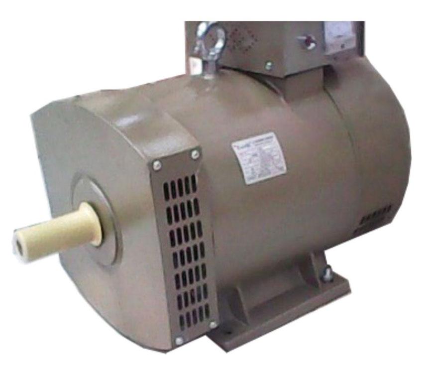 Zacchi Alternator Electric Motor (ST Series) - ToolsSavvy.ph