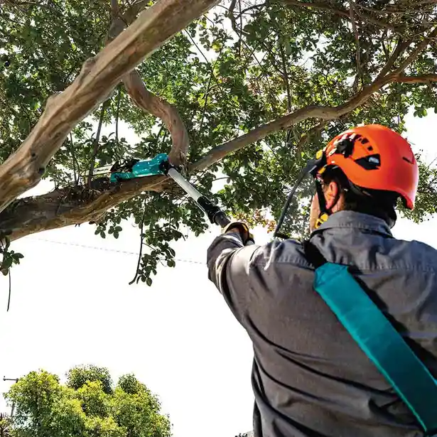 Makita DUA200Z 36V Cordless Brushless Pole Saw (LXT-Series) 20cm (8") [Bare] Secondary image