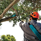 Makita DUA200Z 36V Cordless Brushless Pole Saw (LXT-Series) 20cm (8") [Bare] | Makita by KHM Megatools Corp.
