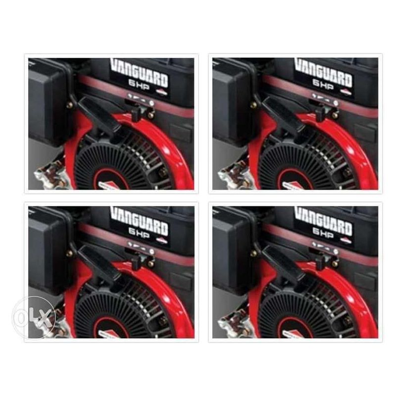 Vangard VX Gasoline Engine (Power-Tech) Secondary image