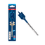 Bosch EXPERT Self Cut Speed Spade Drill Bit - ToolsSavvy.ph