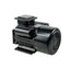 Brolly Single Phase Electric Motor (Copper) - ToolsSavvy.ph