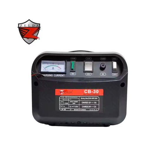 Zelda Battery Charger 30 Amp. Main image