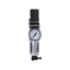 Master Pneumatic CFDR56-2 Integral Filter Regulator