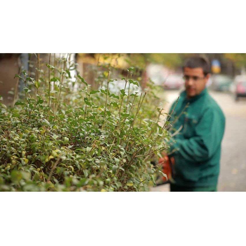 Hitachi CH22EA2 Engine Hedge Trimmer Secondary image