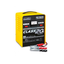 CLASS 20A Battery Charger Class Series (3SM-4D)