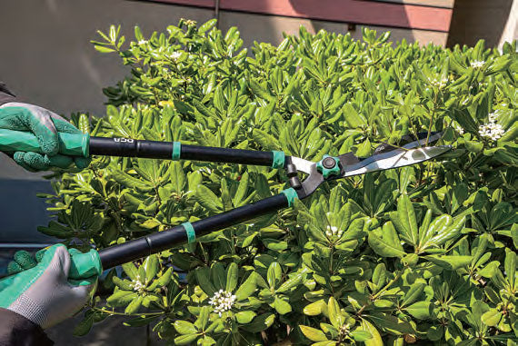 DCA A23B0103 Telescopic Hedge Shear 32" Secondary image