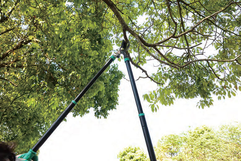DCA A23A0202 Telescopic Lopper 37"