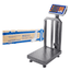 Wadfow WEC1510 Electronic Scale 100KG - ToolsSavvy.ph