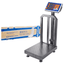 Wadfow WEC1510 Electronic Scale 100KG - KHM Megatools Corp.