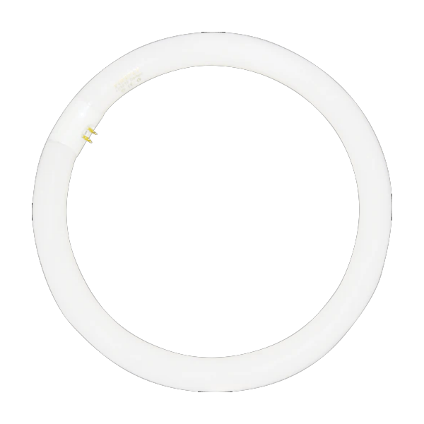 Firefly Fluorescents Tubes T9 Circular FL Tube