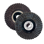 Bosch Flexible Flap Disc X435 100mm - ToolsSavvy.ph