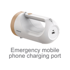 Firefly FEL567 Handheld Rechargeable Flashlight with Mobile Phone Charger | Firefly by KHM Megatools Corp.