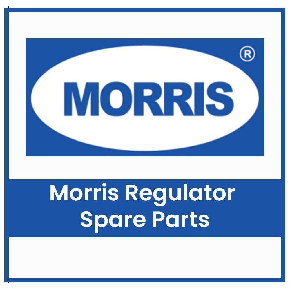 Morris Regulator Spare Parts | Morris by KHM Megatools Corp. Main image
