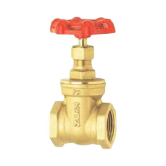 Kitz Gate Valve 1/2"