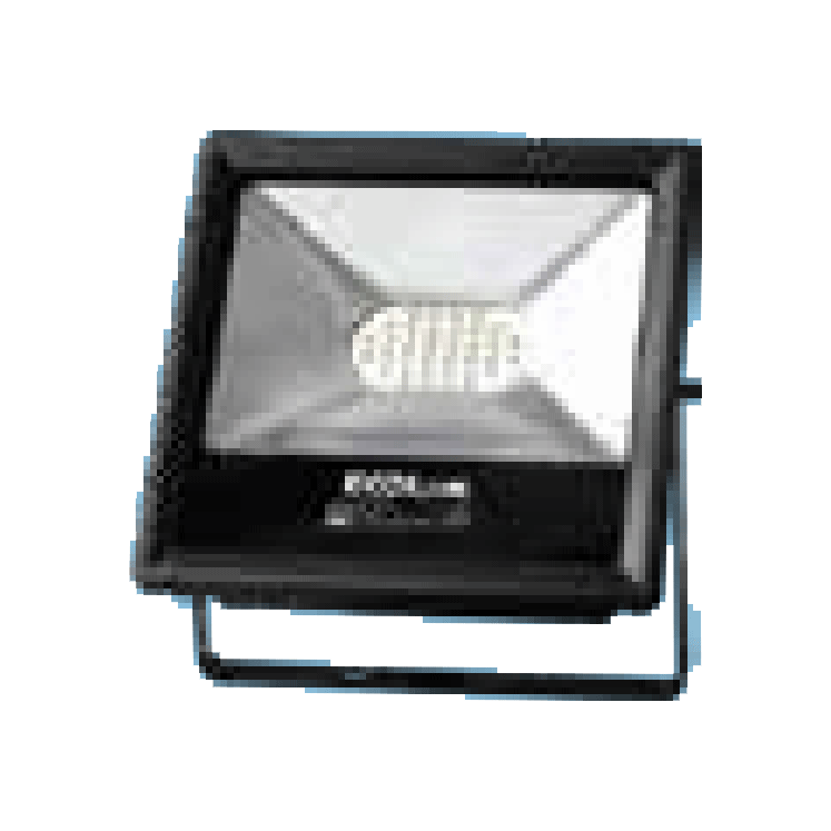 Firefly CFL10 LED Floodlight