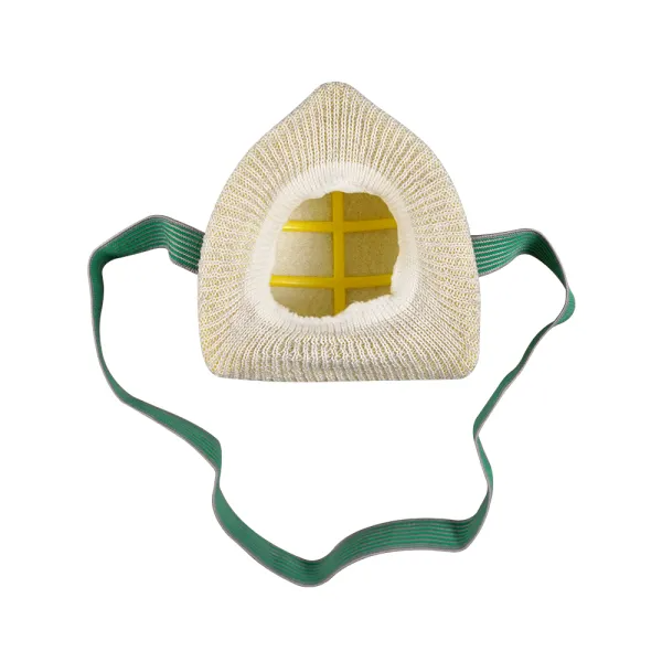 Blue Eagle NP22 Dust Mask with FIlter (NP-22) Secondary image