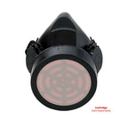 Blue Eagle NP-307 Face Mask Chemical Respirator (Single) [NP307] - ToolsSavvy.ph