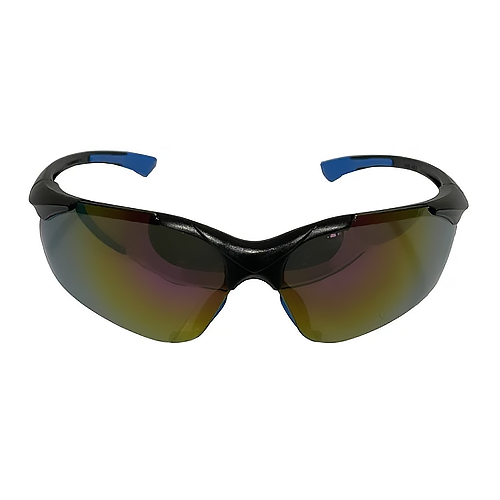 PND P9006C-AA Safety Spectacles Main image