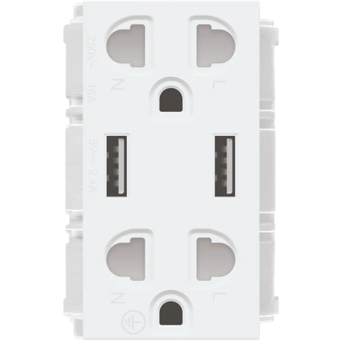 Royu RWO12 Duplex Universal Outlet with 2 USB Ports 16A (Wide) | Royu by KHM Megatools Corp. Main image