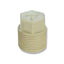 Royu Pipe Threaded Plug [Hot&Cold] (PPR Fittings) | Royu by KHM Megatools Corp.