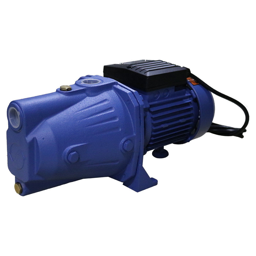 Shinsetsu SJP-100A Self-Priming Jet Pump - ToolsSavvy.ph Main image