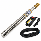Raijin RSSPUMP550 Submersible Screw Deep Well Pump 550W - ToolsSavvy.ph