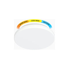 Firefly Functional Decorative LED Ceiling Lamp (Classic)
