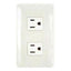 Omni P2-EG-PK 2pc Convenience Outlet with Ground in Plate (Flush Type) | Omni by KHM Megatools Corp.