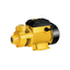 Deli EDL-WZB750-E1 Peripheral Pump 1HP 750W | Deli by KHM Megatools Corp.