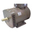 Zacchi Alternator Electric Motor (ST Series) - Goldpeak Tools PH Zacchi