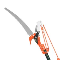 Butterfly #539 Tree Pruner / Trimmer With Pole - ToolsSavvy.ph